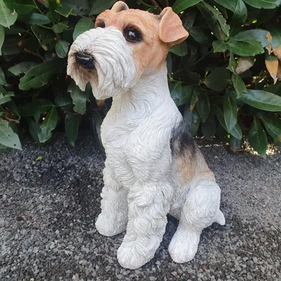 Produktbild von Gartenfigur Foxterrier Hunde Figur sitzt 34 cm
