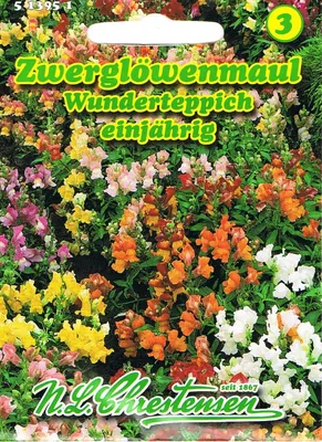 Produktbild von Zwerglöwenmaul Wunderteppich | Löwenmaulsamen von N.L. Chrestensen