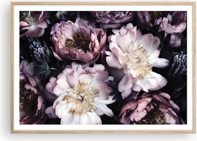 Produktbild von Gerahmtes Poster - Rahmen in heller Eiche - Pfingstrosen Veilchen Blumen - 100x70 cm - Wand Bild - Wanddeko - Wandbilder - Kunstposter - Wandposter - Bilderrahmen - Bilder - P2NAA100x70-5076
