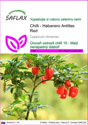 Obrázok produktu pre SAFLAX - Chilli - Habanero Antilles Red - Capsicum chinense - 10 Semená