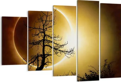Produktbild von Bild auf Leinwand - Leinwandbild - 5 Teile - Sonnenfinsternis die Sonne Baum - 150x100cm - Wand Bild - Wanddeko - Wandbilder - Leinwanddruck - Bilder - Wanddekoration - Leinwand bilder EG150x100-4349
