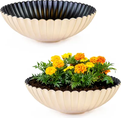 Produktbild von Runde Pflanz-Schalen gewellt für draussen champagner gold 22 cm