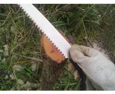 Obrázek produktu pro SKLÁDACÍ PÍLA CARDINALE 180 mm