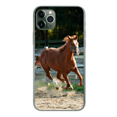 Produktbild von MuchoWow® Handyhülle Schutzhülle Hülle für iPhone 11 Pro Max Pferd - Licht - Sand Silikon Softcase Handy Hülle - Schutz