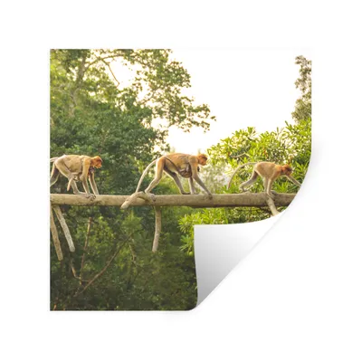 Produktbild von MuchoWow® Wandtattoo Wandsticker Wandaufkleber Affen laufen auf Ast 50x50 cm Selbstklebend und Repositionierbar - Selbstklebend - Fototapeten