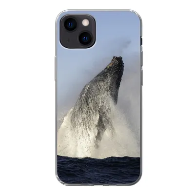 Produktbild von MuchoWow® Handyhülle Schutzhülle Hülle für iPhone 13 Wal - Wasser - Südafrika Silikon Softcase Handy Hülle - Karteninhaber