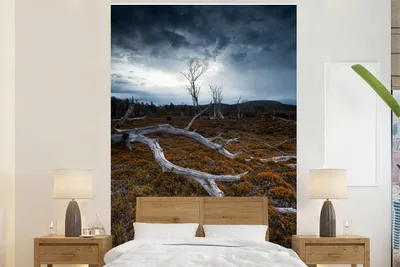 Produktbild von MuchoWow® Fototapete für Wohnzimmer oder Schlafzimmer Wandtapete Vinyl Motivtapete Baum Cradle Mountain National Park Tasmanien - 170x260 cm - Wohnzimmertapete
