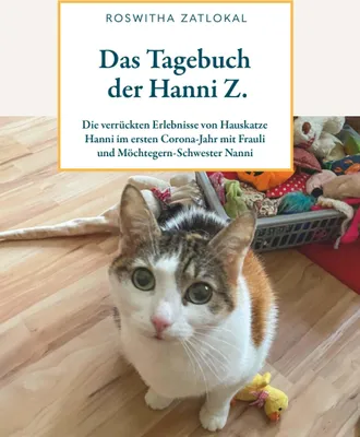 Produktbild von Das Tagebuch der Hanni Z.