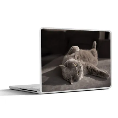 Produktbild von MuchoWow® Laptop Aufkleber Sticker Cover Tier - Katze - Grau 31x22.5 cm - Laptop-Deko