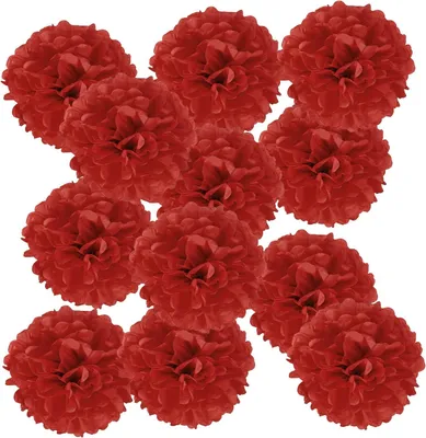 Productafbeelding van Papieren pompons, 12 stuks, diameter 10,5 cm, voor feestdecoratie