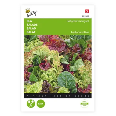 Produktbild von Salat Babyleaf Mischung | Salatsamen von Buzzy Seeds