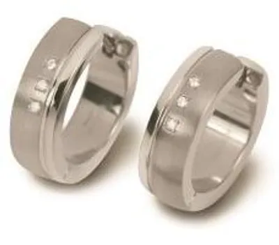 Image de Boucles d'oreilles Boccia Titanium 0539-13