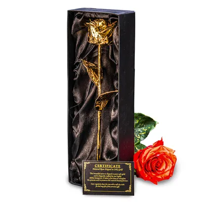 Produktbild von Goldene Rose in einer Geschenkbox