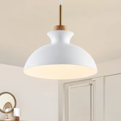 Image de Parrot Uncle : suspension moderne en fer blanc avec douille E27, ampoule non fournie