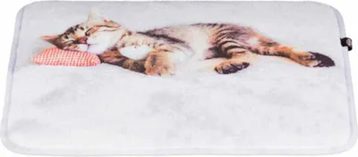 Image de Tapis Nani 40 × 30 cm gris