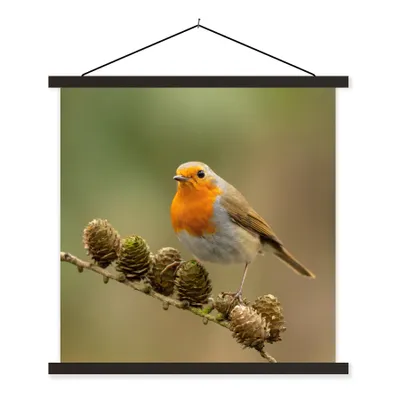 Produktbild von MuchoWow® Textilposter Vogel - Rotkehlchen - Tannenzapfen - Zweig - Herbst 60x60 cm mit schwarzem Rahmen - Posteraufhänger