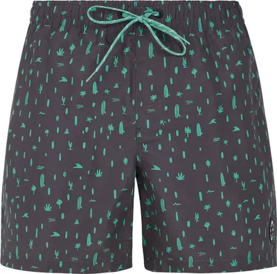 Image de Protest Grom Short de bain Vert L Homme Vert L
