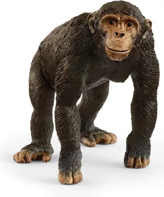 Immagine prodotto di Schleich Wild Life Scimpanzé 14883