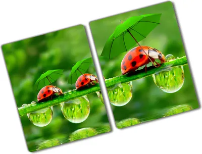 Produktbild von Tulup Glas Herdabdeckplatte - 2x40x52 cm - Glaskeramikkochfeld-Abdeckung Spritzschutz Glasabdeckplatte Kochplattenabdeckung und Schneidebrett - Zweiteilig - Tiere - Marienkäfer - Grün