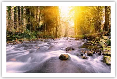 Produktbild von Poster - Poster ohne Rahmen - Herbst Wald Berg Fluss - 91,5x61 cm - Wand Bild - Wanddeko - Wandbilder - Kunstposter - Wandposter - Bilder - Kunstdruck - Wanddekoration - Wandbild - P2XAA91x61-0504