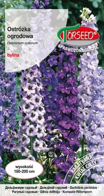 Produktbild von Samen von Garten-Wolfsmilch gemischt 0.5g - Torseed