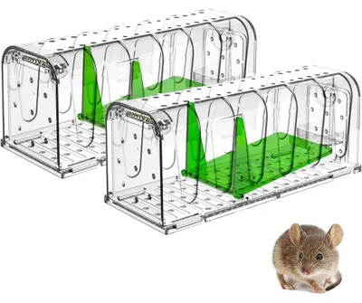 Image de Piège à souris vivant, lot de 2, respectueux des animaux, couleur vert transparent