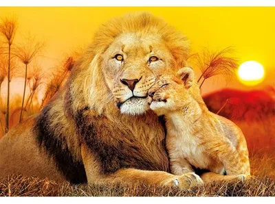 Image de Puzzle le lion et le lionceau - 180 pieces - collection animaux sauvages - clementoni - 29785