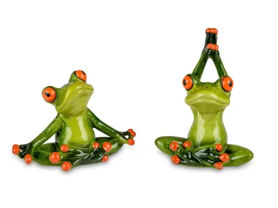 Immagine prodotto di Formano set di 2 rane divertenti coppia di rane figura yoga poly 11 cm