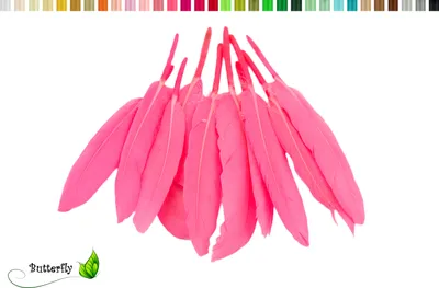 Produktbild von 10 Entenfedern ca. 10-15cm, Farbauswahl:pink 156
