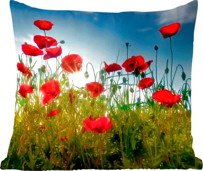 Produktbild von MuchoWow® Zierkissen Sofakissen Wohnzimmer Dekokissen 50x50 cm Mohnblumen - Toskana - Sonne - Rot - Blau - Komfort - Sofakissen