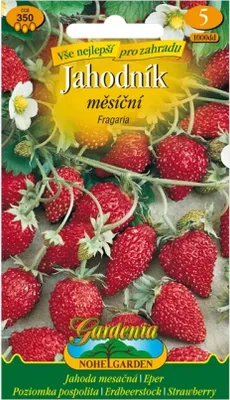 Obrázek produktu pro Nohel Garden Jahodník měsíční