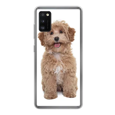 Produktbild von MuchoWow® Handyhülle Schutzhülle Hülle für Samsung Galaxy A41 Hund - Haustiere - Fell Silikon Softcase Handy Hülle - Mobiltelefon