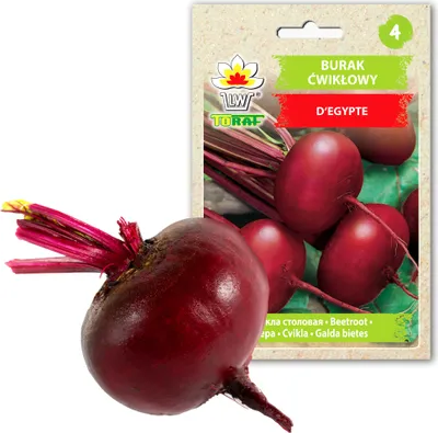 Produktbild von Toraf Gemüsesaatgut Rote Bete D'Egypte, Packung 10g