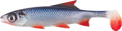 Produktbild von Balzer Shirasu Clone Shad 18 cm Rotauge