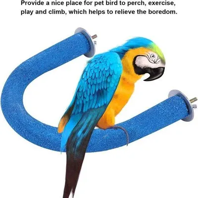 Image de Perchoir pour perroquets - Bleu