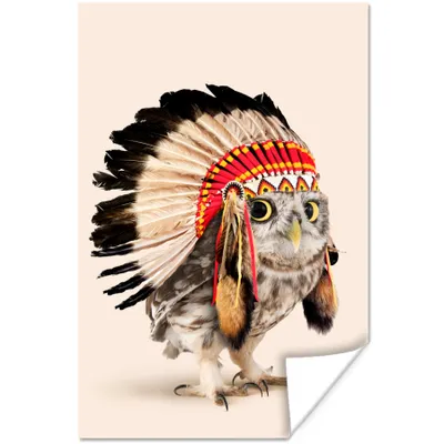 Produktbild von MuchoWow® Poster Tier - Eule - Indianer - Vogel 40x60 cm - Plakate für die Wand - Poster Babyzimmer