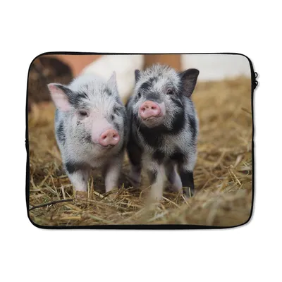 Produktbild von MuchoWow® Laptop Hülle 15 Zoll Schwein - Tiere - Ferkel Laptoptasche - Laptoptasche - Sleeve - Rundum-Schutz