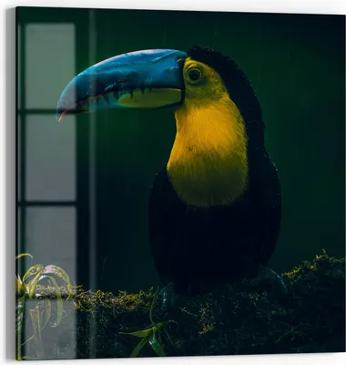 Produktbild von DEQORI Magnettafel Glas 30x30 cm 'Dschungelbewohner' beschreibbar Whiteboard Küche