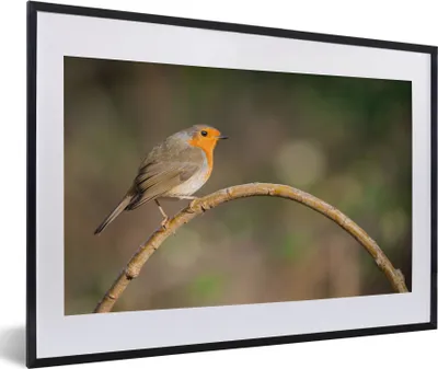 Produktbild von MuchoWow® Gerahmtes Poster Rotkehlchen - Vogel - Natur 60x40 cm - Poster mit Schwarzem Bilderrahmen Wandposter Rahmen Foto Bilder - Schlafzimmer - Plakat in Rahmen - Drucken
