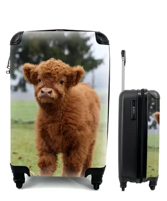 Produktbild von MuchoWow® Koffer Handgepäck Trolley Rollkoffer Kleine Reisekoffer mit 4 Rollen - Schottische Highlander - Gras - Natur - Cabin Size < 55x40x23 cm & 55x40x20 cm - Fotokoffer - Kabinenkoffer - Boardgepäck - Reise-Box - Reisekoffer - Reisegepäck - Koffer mit Bild - Trolley für Kinder