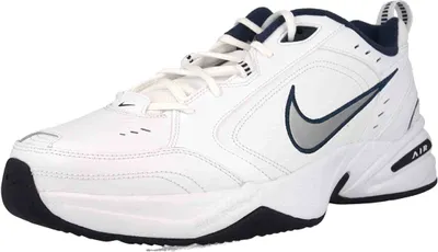 A single Nike Air Monarch IV shoe shown from a side-diagonal angle against a white background.