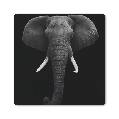 Produktbild von MuchoWow® Mauspad Mousepad Elefant - Wildtiere - Schwarz - Weiß - Porträt 30x30 cm - Mousepads - Maus Mat - Pad - Mausunterlage - Gaming