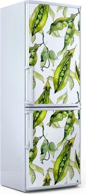 Produktbild von Magnete Dekorative - 70 cm x 190 cm - Küche - Magnetmatte Kühlschrankmagnete - Erbsen Aus Wildgemüse