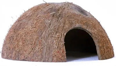 Produktbild von Terrario CocoCave L - halbe Kokosnuss natürlich