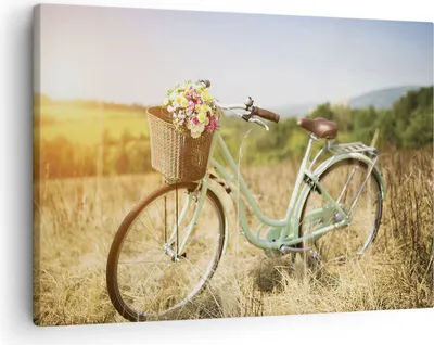 Produktbild von Bild auf Leinwand - Leinwandbild - Einteilig - Fahrrad Wiese Blumen - 70x50cm - Wand Bild - Wanddeko - Wandbilder - Leinwanddruck - Bilder - Wanddekoration - Leinwand bilder - Wandbild - AA70x50-4206