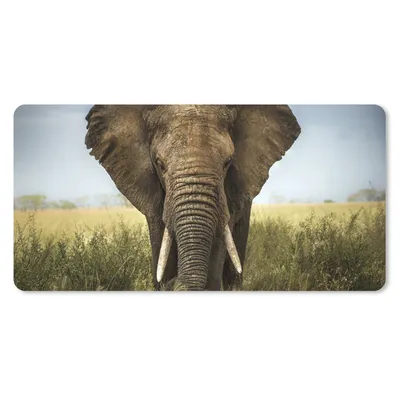 Produktbild von MuchoWow® Mauspad Mousepad Elefant - Natur - Gras - Tiere - Landschaft 60x30 cm - Mousepads - Maus Mat - Pad - Mausunterlage - Nachhaltig
