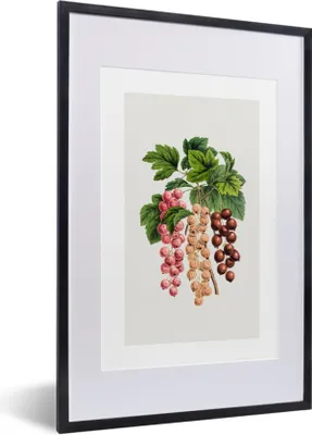Produktbild von MuchoWow® Gerahmtes Poster Obst - Beeren - Lebensmittel 40x60 cm - Poster mit Schwarzem Bilderrahmen Wandposter Rahmen Foto Bilder - Poster in Rahmen