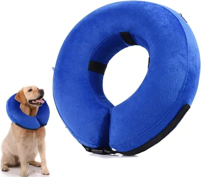 Produktbild von Aufblasbarer Hundekragen zur Genesung, Größe L