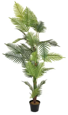 Productafbeelding van EUROPALMS Areca-palm, kunstplant, 180 cm (82509415)