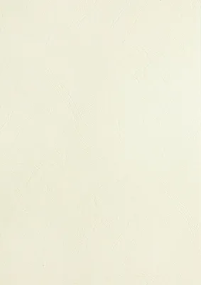 Image de couverture de reliure pavo structure cuir DIN A4 blanc 100 couvertures de reliure